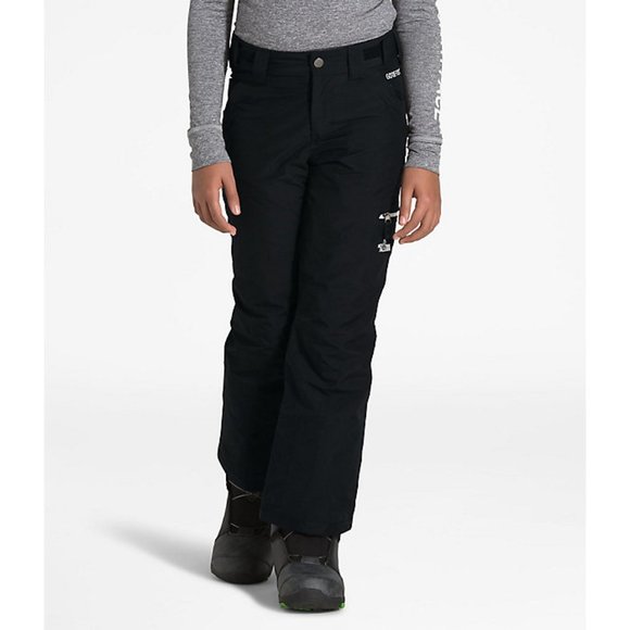 The North Face Goretex Fresh Tracks Ski Snowboard Snow Pants NWT - Picture 1 of 12